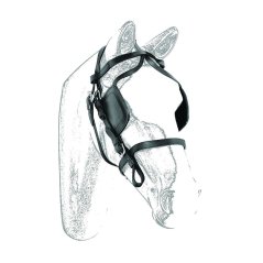 Umbria Equitazione carriage bridle