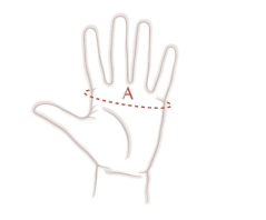 Horze Dakota Western-Lederhandschuhe