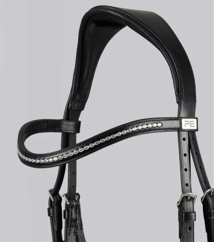 San Paolo Anatomical Bridle