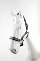 Kožená ohlávka Lennox HORZE