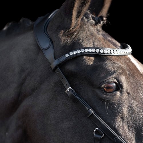 Bridle HVPLegacy Anatomical deluxe