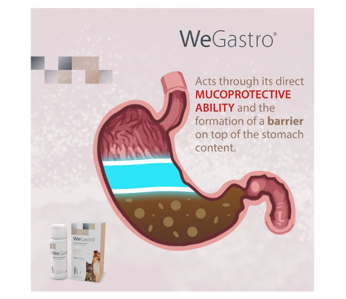 WEGASTRO - ochrana žaludku a úleva při potížích
