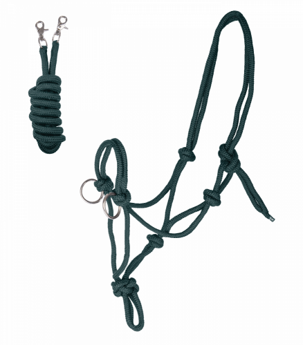 Knotted halter with reins