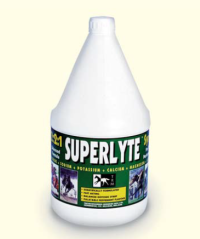 TRM Superlyte Syrup 2:2:1