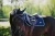 Čabraka Equestrian Stockholm Midnight Blue