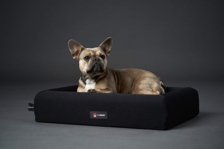 CATAGO FIR-Tech dog bed