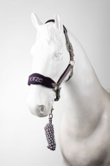 Magic Halter & Lead Set HORZE