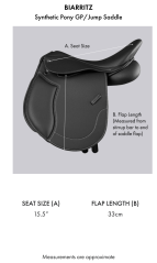 Vielseitiger Ponysattel PREMIER EQUINE Biarritz