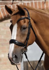 Kožená uzdečka Premier Equine Verdura