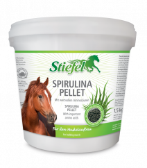 Stiefel Spirulina pro nasvalení a svalový metabolismus (Kyblík 1,5 kg)
