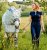 Maska proti hmyzu Horseware Newmarket