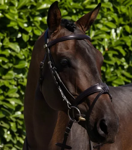 Uzdečka Premier Equine Artana