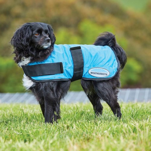 Chladící deka pro psa WEATHERBEETA THERAPY-TEC COOLING - Velikost: 80 cm