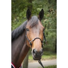 Ohlávka pro koně PENELOPE ROPE HALTER