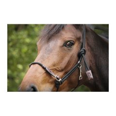 Ohlávka pro koně PENELOPE ROPE HALTER