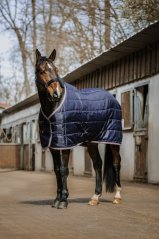 Stájová deka pro koně EQUITHÈME - Aztec 50g