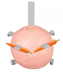Hrací míč "KAROTTENBALL"