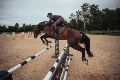Podsedlová dečka Equestrian Stockholm Dark Sky Jump