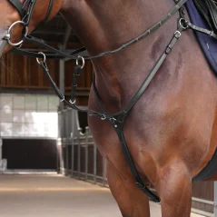 Poprsník Elite Close Contact SHIRES