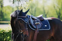Bridle Equestrian Stockholm Midnight Blue
