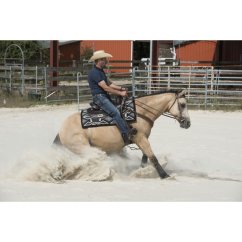 Westernové sedlo WESTRIDE ARVADA