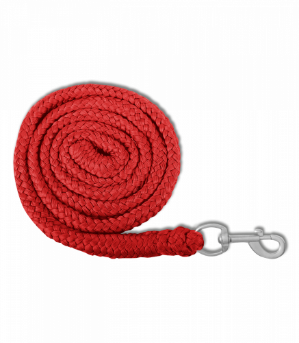 Tie rope Economic - snap hooks