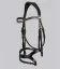 San Paolo Anatomical Bridle