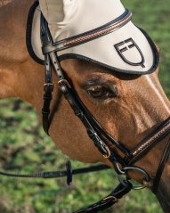 Čabraka EQUESTRO GP Logo