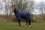 Nepromokavá deka pro koně EQUITHÈME Classic 3 Layers 135cm