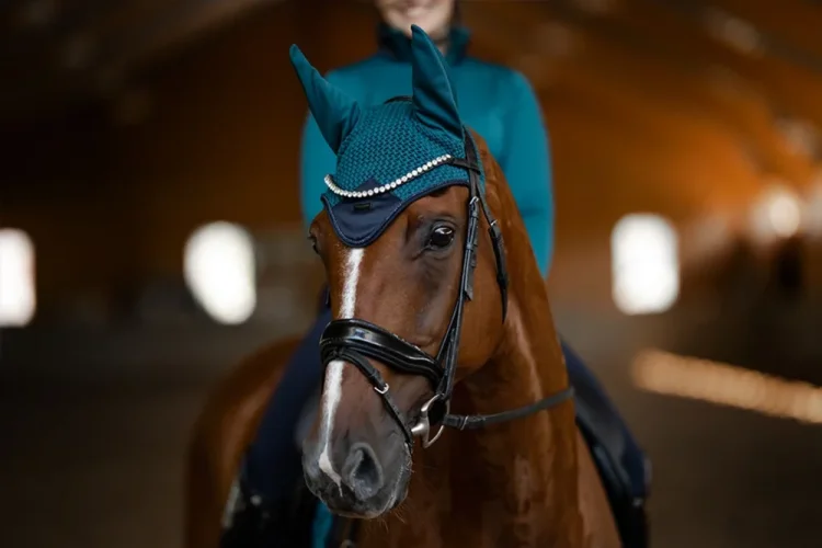 Čabraka Equestrian Stockholm Aurora Blues