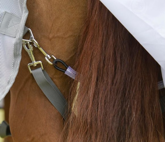 Síťová deka pro koně Premier Equine Bug Buster