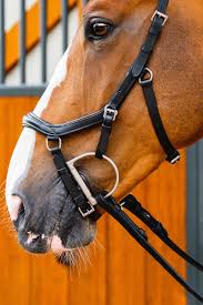 Uzdečka Horseware Micklem 2 Deluxe Competition, s otěžemi