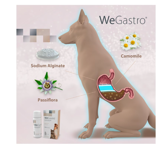 WEGASTRO - ochrana žaludku a úleva při potížích