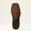 Pánské westernové boty Ariat Highland Toughstock, Distressed Brown