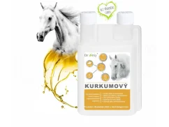 Dromy Kurkumový sirup 1 l