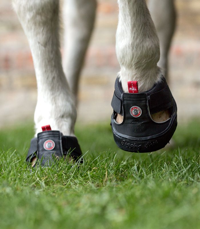 Trekingové botičky Equine Fusion® Slim