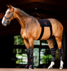 Deka Horseware LED Red Light Therapy