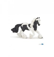 PAPO Irish Cob