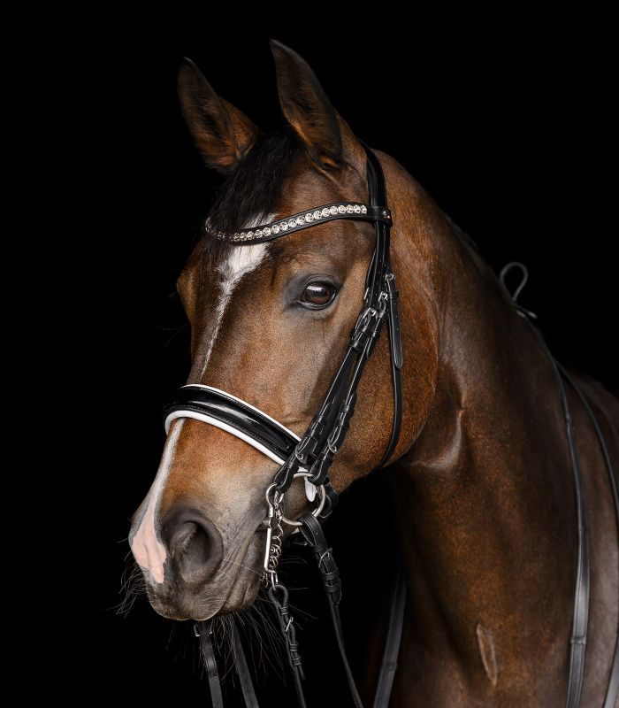 Drezurní uzda Waldhausen X-Line Evermore