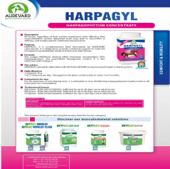 HARPAGYL - na ztuhlé koně a chronickou bolest
