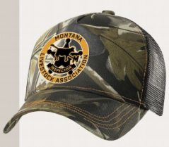 Stars & Stripes cap YELLOWSTONE-04