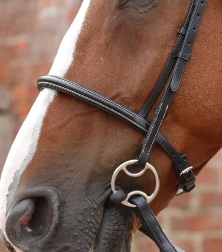 Premier Equine Mossimo Cavesson leather bridle