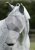 Maska proti hmyzu Premier Equine Xtra + 70% UV