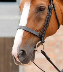 Premier Equine Primo Hunter Cavesson Noseband – Black