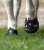 Trekingové botičky Equine Fusion®