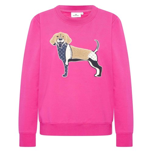 Women's sweatshirt HVSBeagle