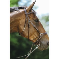 NORTON Bridle Bitless