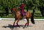 Leichte Damenjacke Equestrian Stockholm Bordeaux