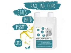 Dromy Recovery oil