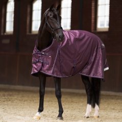 Nepromokavá deka Imperial Riding IRHSuper-drys fleece podšívkou